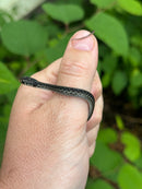 Florida Blue Garter Snake2025 CB Babies  (Thamnophis sirtalis similis)