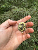HI YELLOW Florida Box Turtle 2025