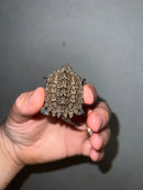 Cinnamon Snapping Turtle