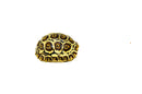 HI WHITE South African Giant  Leopard Tortoise Female 3 (4-5 inch)(Stigmochelys p. pardalis)
