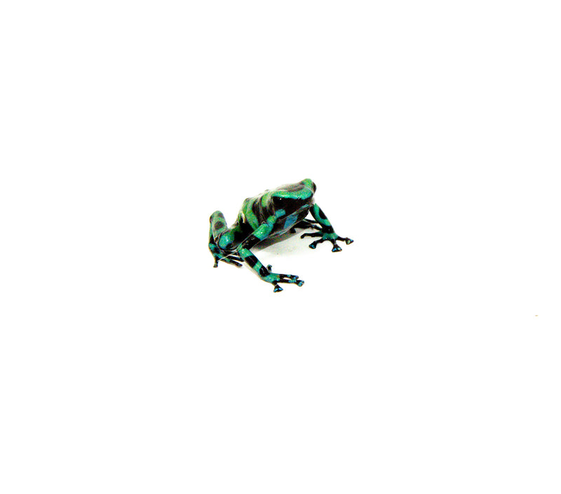Green And Black Poison Dart Frogs (Dendrobates auratus)
