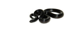 Mexican Black Kingsnake (Lampropeltis getula nigrita)