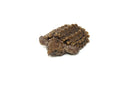 Alligator Snapping Turtle (Macrochelys temminckii)
