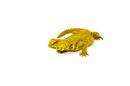 Super Yellow Niger Uromastyx (Uromastyx Geyri)