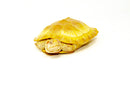 Albino Red-Eared Slider (4-5 inch) (Trachemys scripta elegans)