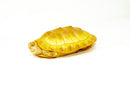 Albino Red-Eared Slider (4-5 inch) (Trachemys scripta elegans)