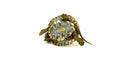 Baby North American Wood Turtle (Glyptemys insculpta)