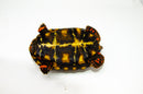 Brazilian Cherryhead Red Foot Tortoise Adult Male 1 -