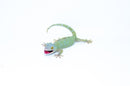 Powder Blue Tokay Gecko Female -
