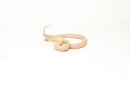 Leucistic Texas Rat Snake Baby Female (Elaphe obsoleta lindheimeri)  -