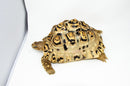 Leopard Tortoise Female 2 (11-12 inch)(Stigmochelys p. babcocki) - FEMALE 2