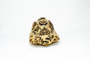 Leopard Tortoise Female  (8-9 inch)(Stigmochelys p. babcocki) - FEMALE 3