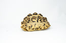 Leopard Tortoise Female  (8-9 inch)(Stigmochelys p. babcocki) - FEMALE 3