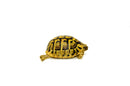 Eastern Hermann's Tortoise Adult (6-7 inch) Female 2 -