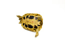 Eastern Hermann's Tortoise Adult (6-7 inch) Female 3 -
