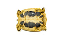 Eastern Hermann's Tortoise Adult (6-7 inch) Male 3 -