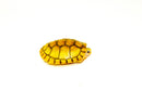 Caramel Pink Albino Red Eared Slider Turtle Sub Adult (Trachemys elegans)
