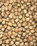 Optional Add-On: Turtle Pellet Food
