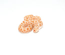 Albino Hognose Snake  (Heterodon nasicus)