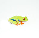 Red Eyed Tree Frog (Agalychnis callidryas)