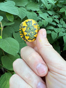 D'Orbigny's Slider Baby (Trachemys dorbigni)