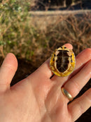 McCord's Box Turtle Baby (Cuora mccordi)