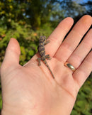 Reticulated Gargoyle Gecko Well Started Babies (Rhacodactylus auriculatus)