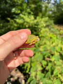 Pastel Clown Red Eared Slider Turtle