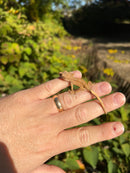 Crested Gecko Babies (Correlophus ciliatus)