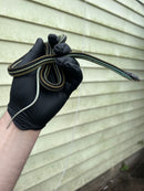 Blue Striped Ribbon Snake (Thamnophis sauritus)