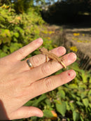 Crested Gecko Babies (Correlophus ciliatus)
