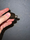 Concentric Diamondback Terrapin 2022 (Malaclemys terrapin)