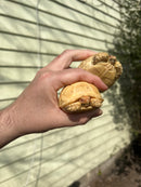 Albino African Spurred Tortoise Baby (Centrochelys sulcata)
